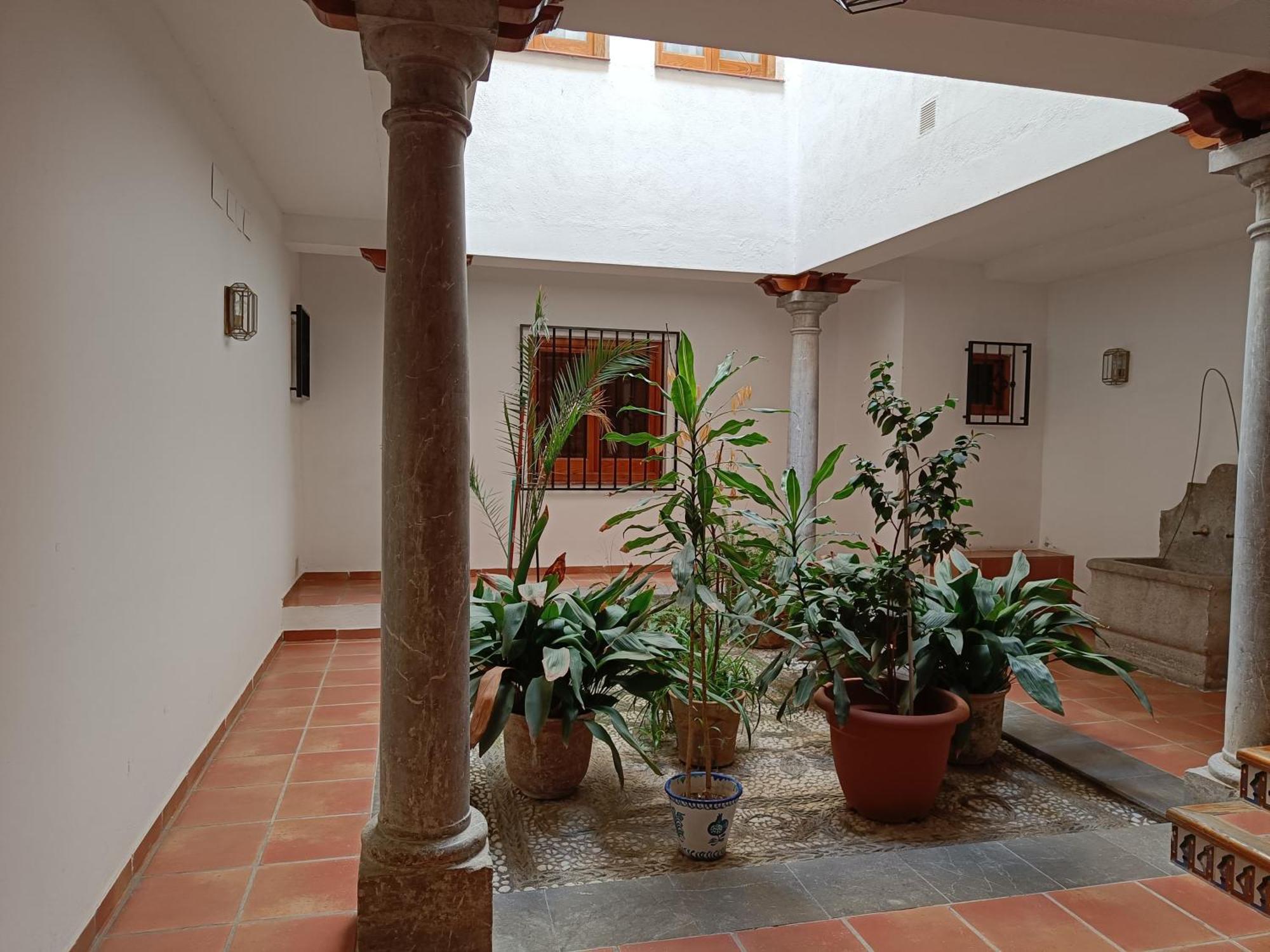 Apartamento Concepcion Granada Centro Bagian luar foto